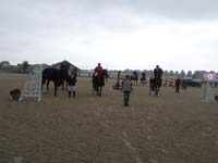 SAM_9872