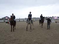 SAM_9874