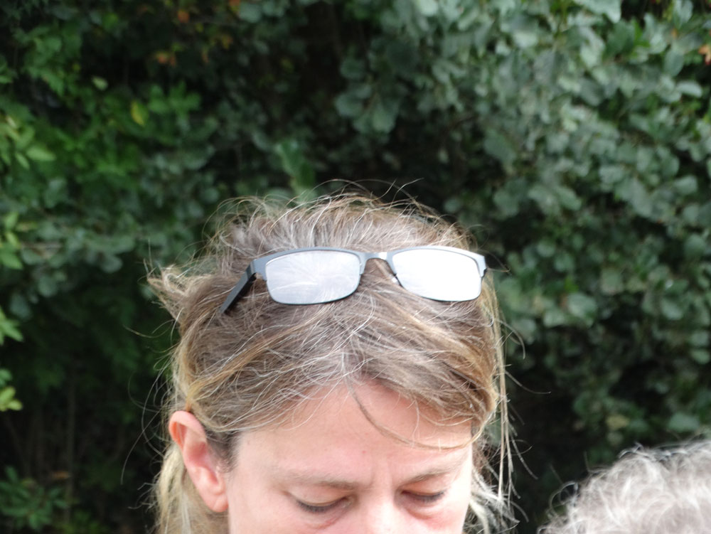 DSC04461