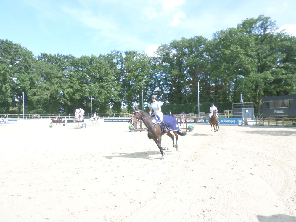SAM_0305