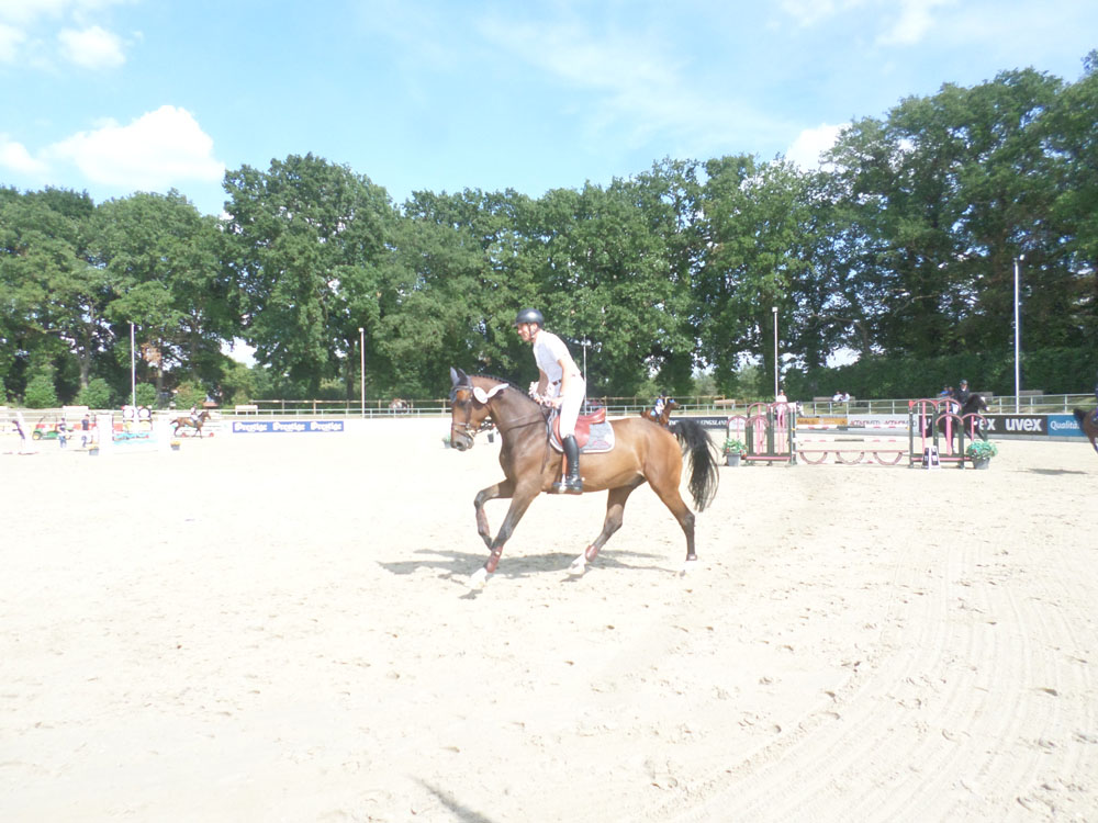 SAM_0306