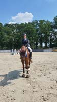 SAM_0288g