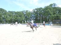 SAM_0305