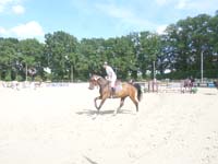 SAM_0306