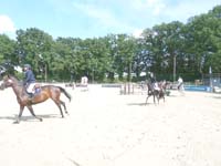SAM_0307