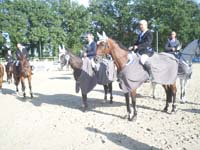 SAM_0314