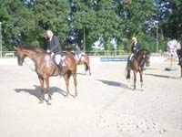 SAM_0316