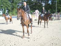SAM_0317