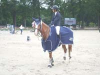SAM_0335