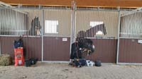 SAM_0374