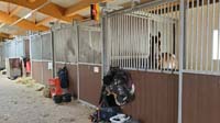 SAM_0375