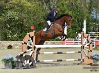 Bedizzole_2023_67