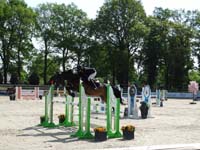 DSC05198