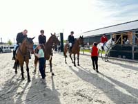 Peelbergen2024_13_154