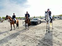 Peelbergen2024_13_156