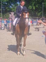 Riesenbeck_319