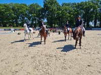 Riesenbeck_466