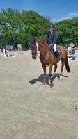 Riesenbeck_670